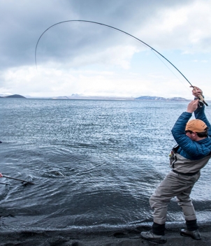 Iceland Trout & Char