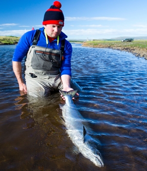 Iceland Salmon