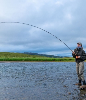 Iceland Salmon