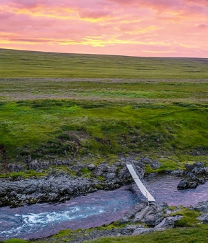 Iceland Salmon