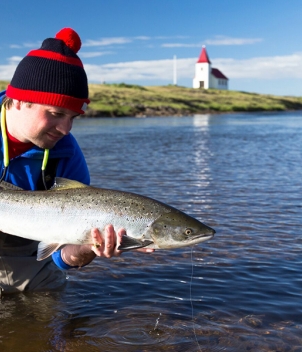 Iceland Salmon