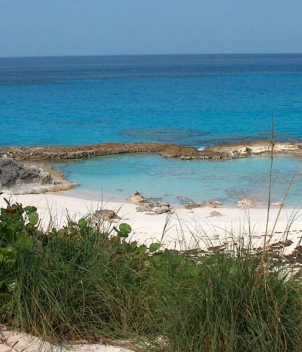 Stella Maris Resort
