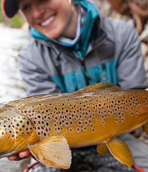 Big Hole Lodge
