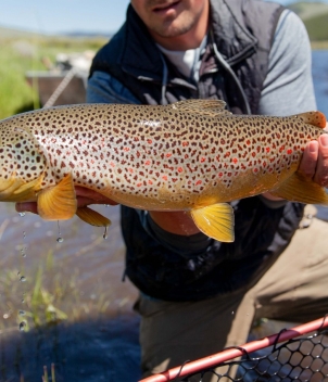 Big Hole Lodge