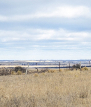 River Plate Wingshooting – 5 Feather Program
