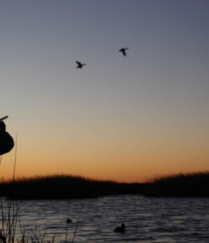 River Plate Wingshooting – 5 Feather Program