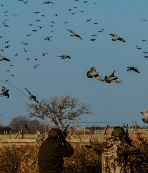 River Plate Wingshooting – 5 Feather Program