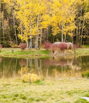 Taylor River Lodge