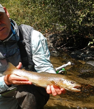 Taylor River Lodge