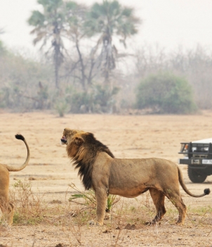 Chiawa Camp, Zambia