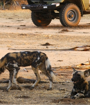 Chiawa Camp, Zambia
