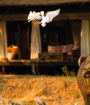 Chiawa Camp, Zambia