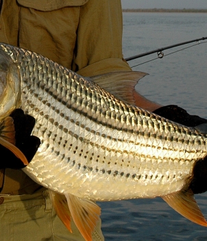 Chiawa Camp, Zambia