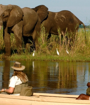 Chiawa Camp, Zambia