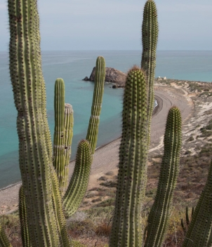 Los Cabos - Southern Baja Peninsula