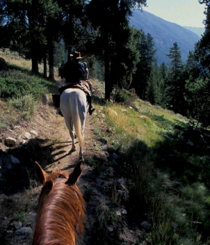 HF Bar Ranch