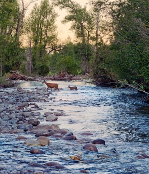 Brush Creek Ranch