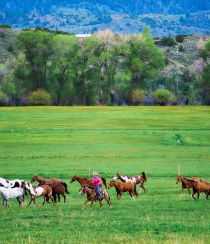 Brush Creek Ranch