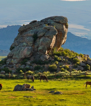 Brush Creek Ranch