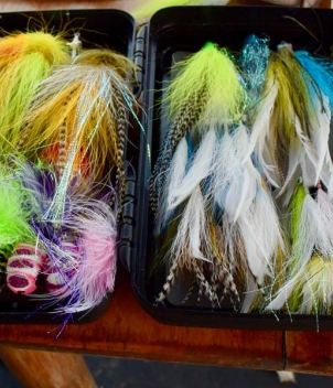 Pesca Panama