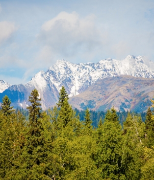 Bear Claw Lodge