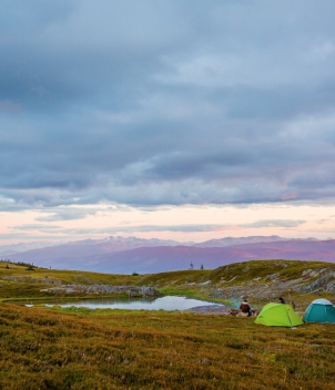 Bear Claw Lodge
