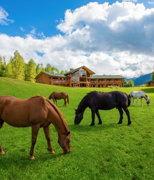 Bear Claw Lodge
