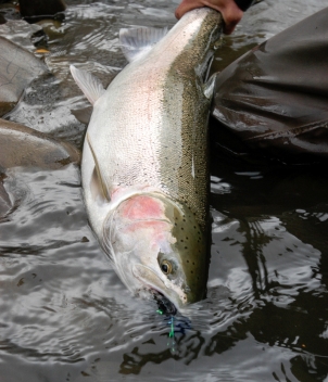 Bear Claw Lodge
