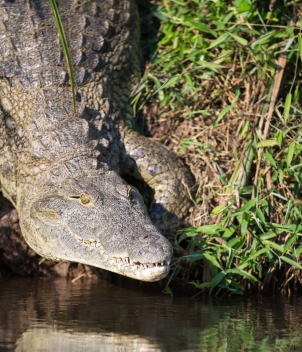 Dhala and Samaki Camp, Tanzania