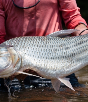 Dhala and Samaki Camp, Tanzania