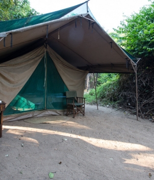 Dhala and Samaki Camp, Tanzania