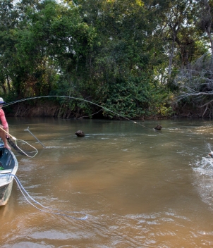 Dhala and Samaki Camp, Tanzania