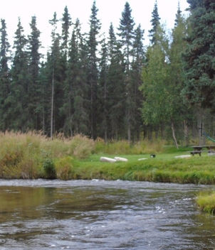 Crooked Creek Retreat and Outfitters
