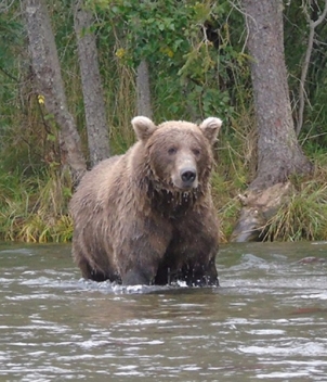 Crooked Creek Retreat and Outfitters