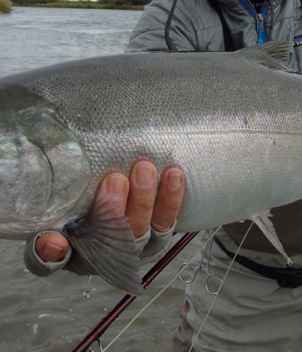 Crooked Creek Retreat and Outfitters