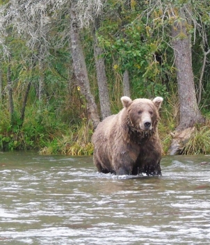 Bear Trail Lodge 