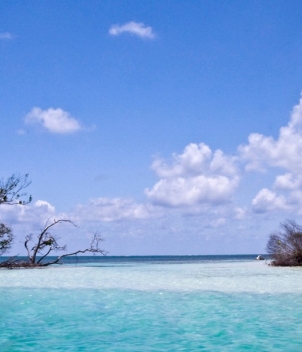 The Xflats at Tierra Maya