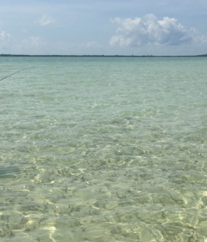 The Xflats at Tierra Maya