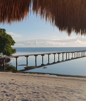 The Xflats at Tierra Maya