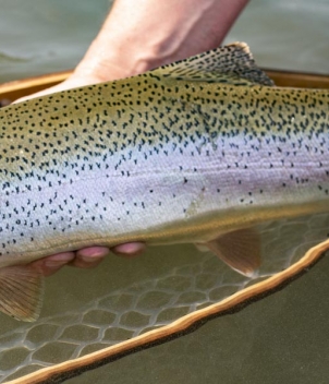 Missouri River Ranch