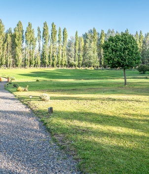 Collón Curá Lodge