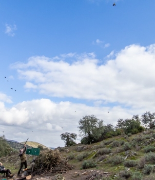 La Nava - Partridge Shooting