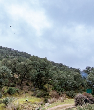 La Nava - Partridge Shooting