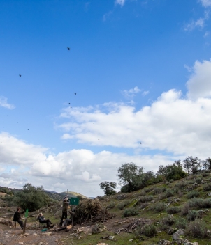 La Nava - Partridge Shooting