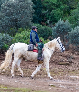 La Nava - Partridge Shooting