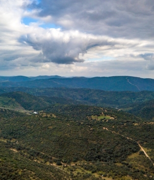 La Nava - Partridge Shooting