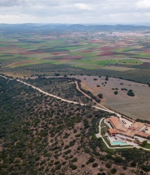 La Nava - Partridge Shooting
