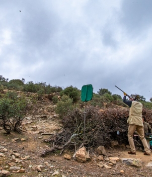 La Nava - Partridge Shooting