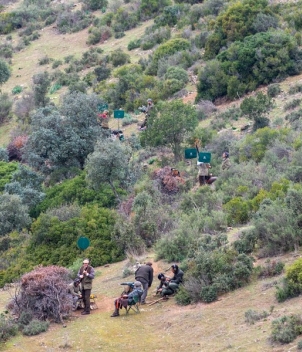 La Nava - Partridge Shooting