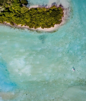 Alphonse Island - Beach Retreats